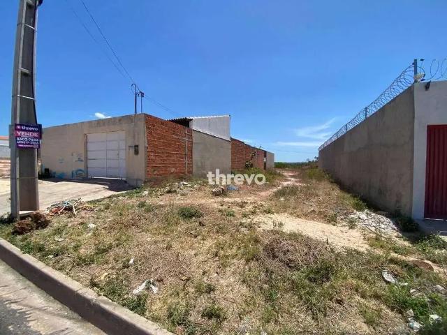 Terreno venda em Mocambinho, Simplício Mendes