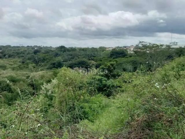 Terreno venda em Simplício Mendes, Piauí