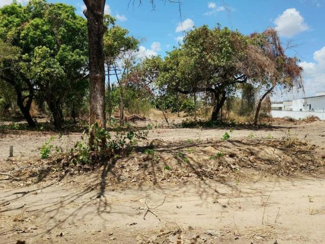 Terreno venda em Morros, Teresina