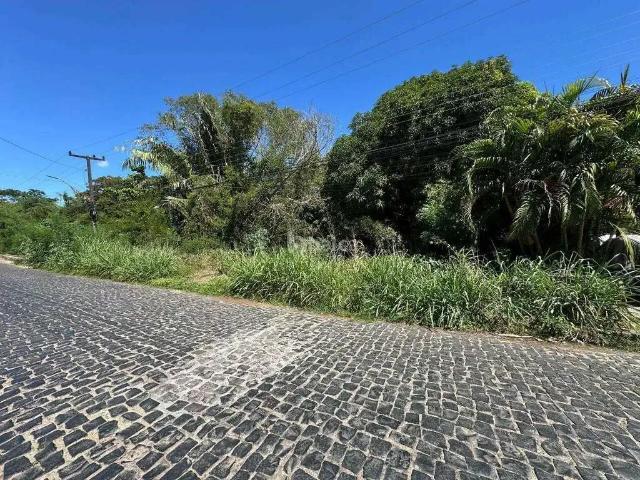 Terreno venda em Simplício Mendes, Piauí