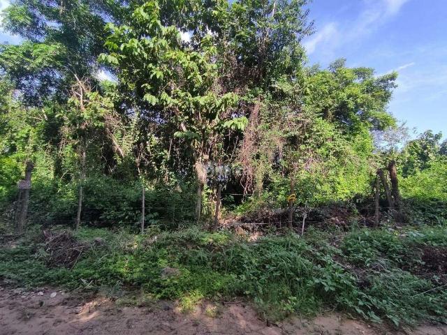 Terreno venda em Região Geográfica Imediata de Teresina, Região Integrada de Desenvolvimento da Grande Teresina