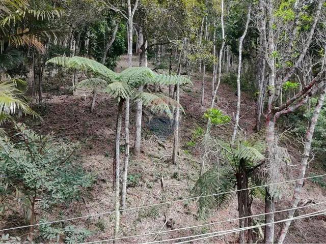 Terreno venda em Região Geográfica Imediata de Petrópolis, Teresópolis
