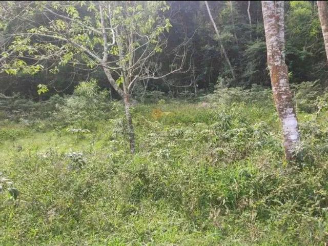 Terreno venda em Região Geográfica Imediata de Petrópolis, Teresópolis