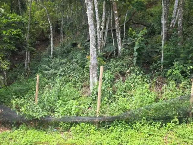 Terreno venda em Região Geográfica Imediata de Petrópolis, Teresópolis
