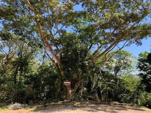 Terreno venda em Guapimirim, Região Geográfica Intermediária do Rio de Janeiro