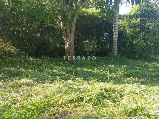 Terreno venda em Região Geográfica Imediata de Petrópolis, São José do Vale do Rio Preto