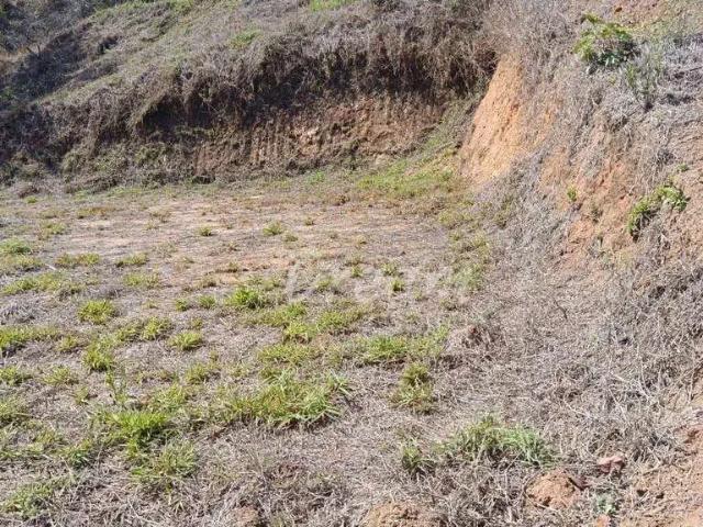 Terreno venda em Região Geográfica Imediata de Petrópolis, São José do Vale do Rio Preto