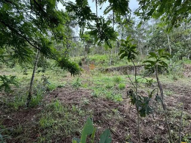 Terreno venda em Região Geográfica Imediata de Petrópolis, Região Metropolitana do Rio de Janeiro