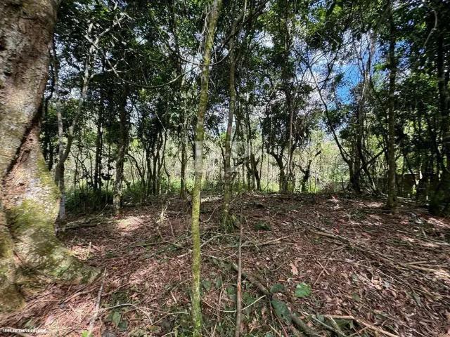 Terreno venda em Região Geográfica Imediata de Varginha, Varginha