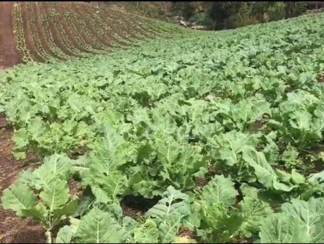Terreno venda em Vale do Paquequer, São José do Vale do Rio Preto