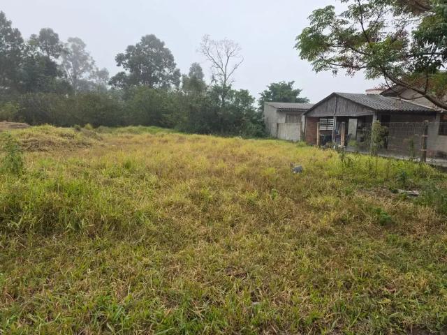 Terreno venda em Região Geográfica Imediata de Tramandaí - Osório, Aglomeração Urbana do Litoral Norte