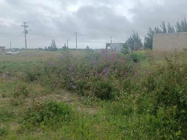 Terreno venda em Região Geográfica Imediata de Tramandaí - Osório, Aglomeração Urbana do Litoral Norte