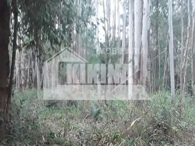 Terreno venda em Alto do Amparo, Tibagi