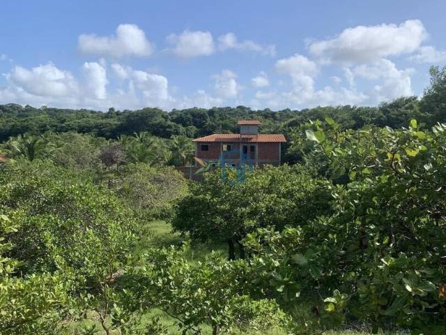 Terreno venda em Tibau do Sul
