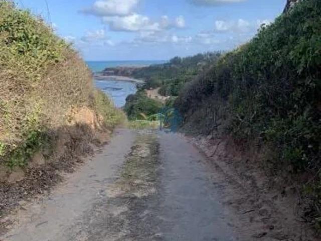 Terreno venda em Tibau do Sul