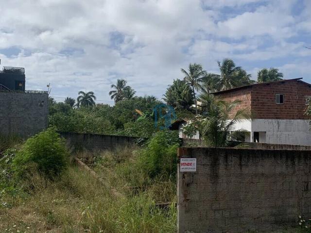 Terreno venda em Tibau do Sul