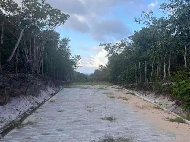 Terreno venda em Região Geográfica Imediata de Canguaretama, Tibau do Sul
