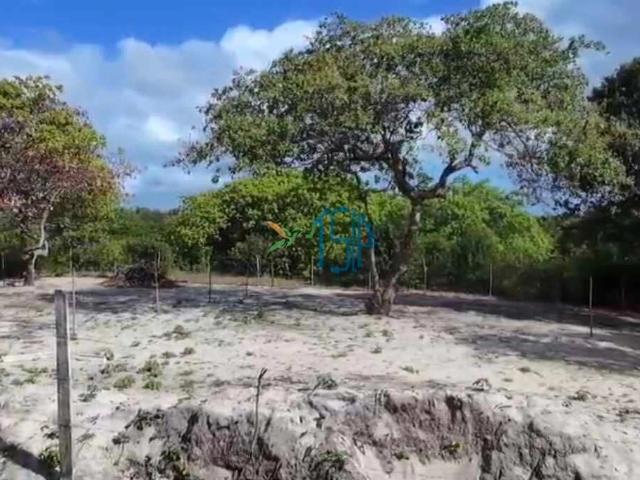Terreno venda em Tibau do Sul