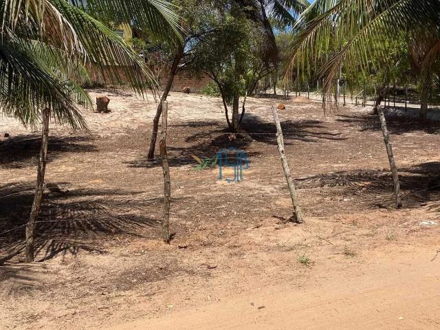 Terreno venda em Tibau do Sul