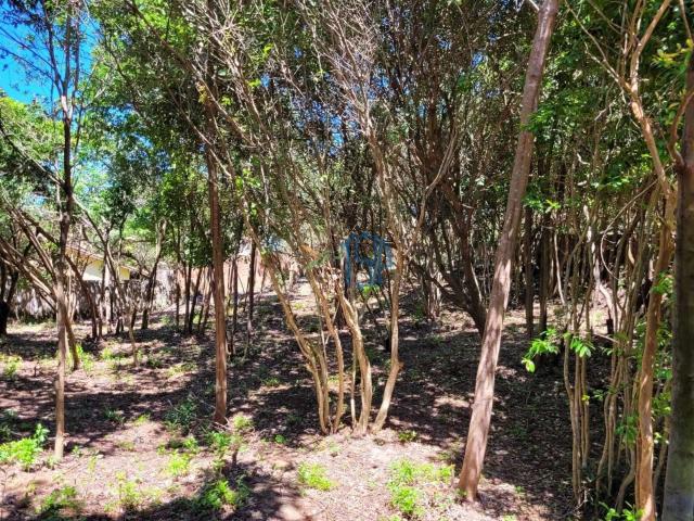 Terreno venda em Tibau do Sul