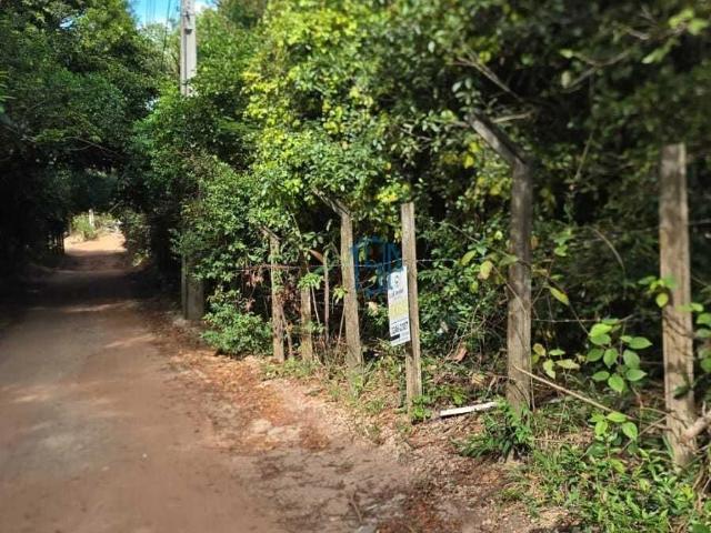 Terreno venda em Tibau do Sul