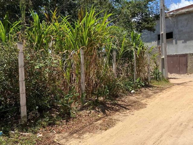 Terreno venda em Tibau do Sul