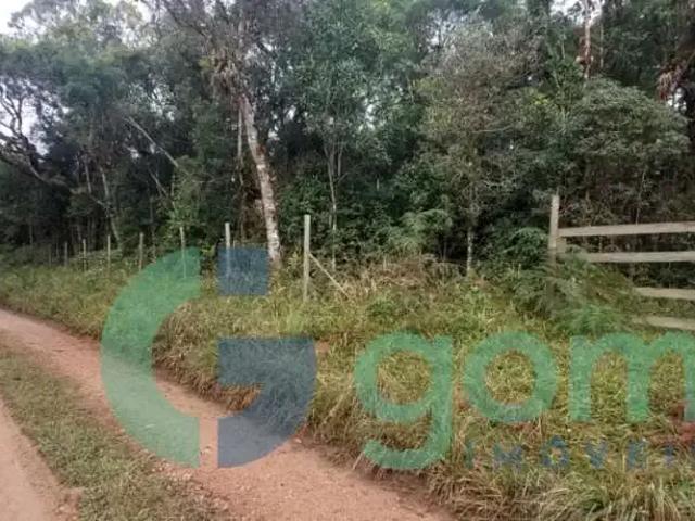 Terreno venda em Região Geográfica Imediata de Pato Branco, São João