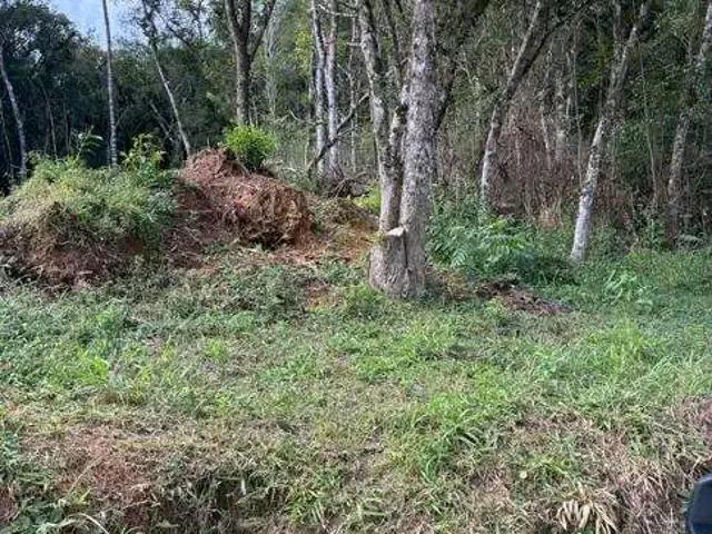 Terreno venda em Região Geográfica Imediata de Curitiba, Região Metropolitana de Curitiba