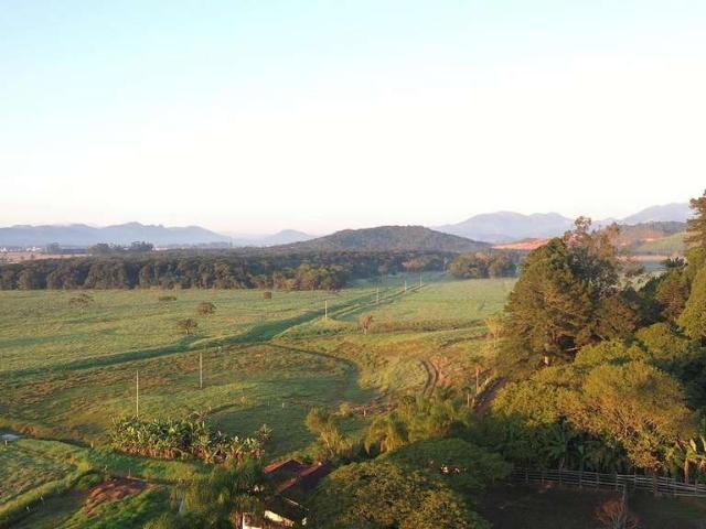 Terreno venda em Tijucas, Centro