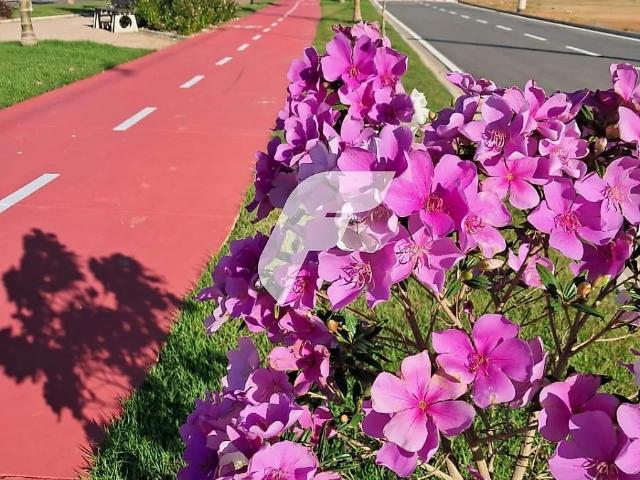 Terreno venda em Tijucas, Região Geográfica Intermediária de Blumenau
