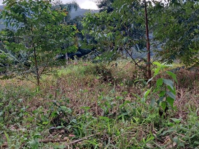 Terreno venda em Tijucas, Região Geográfica Intermediária de Blumenau