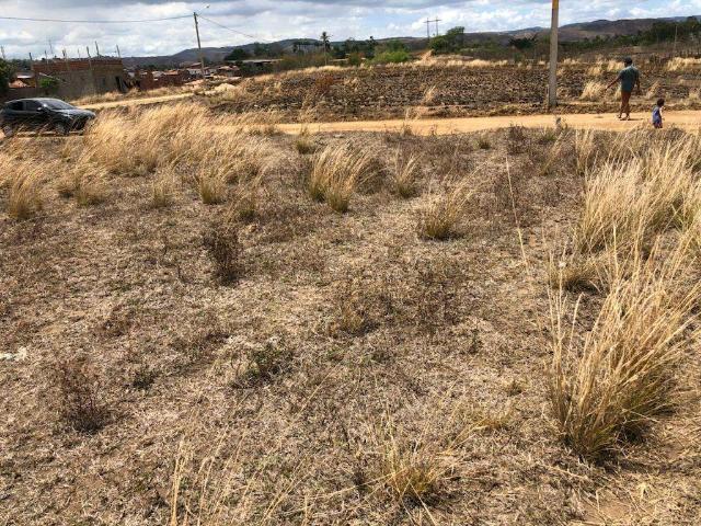 Terreno venda em Região Geográfica Imediata de Goiana-Timbaúba, Timbaúba