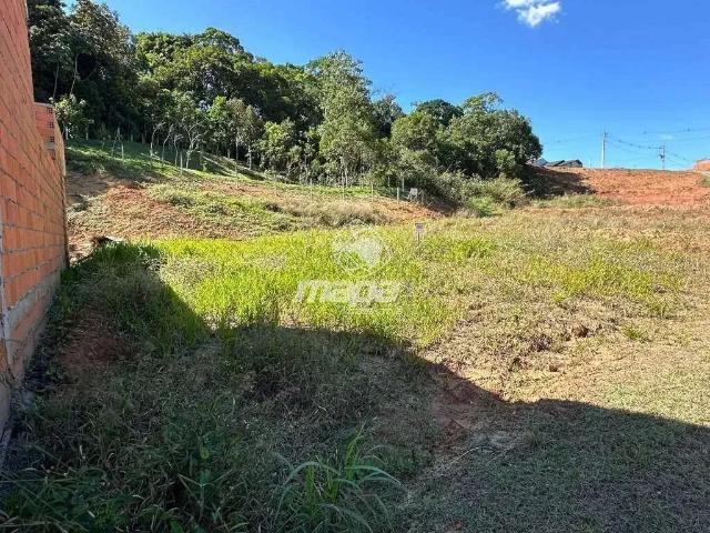 Terreno venda em Região Geográfica Imediata de Blumenau, Timbó