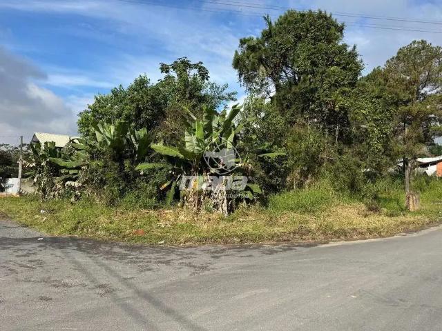 Terreno venda em Região Geográfica Imediata de Blumenau, Timbó