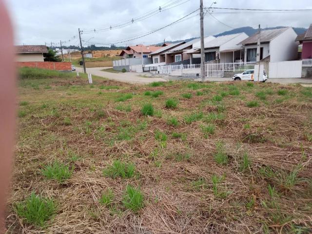 Terreno venda em Estados, Timbó
