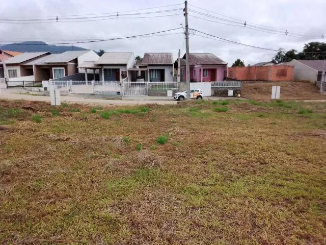 Terreno venda em Região Geográfica Imediata de Blumenau, Timbó