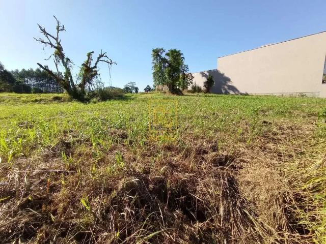 Terreno venda em Região Geográfica Imediata de Blumenau, Timbó
