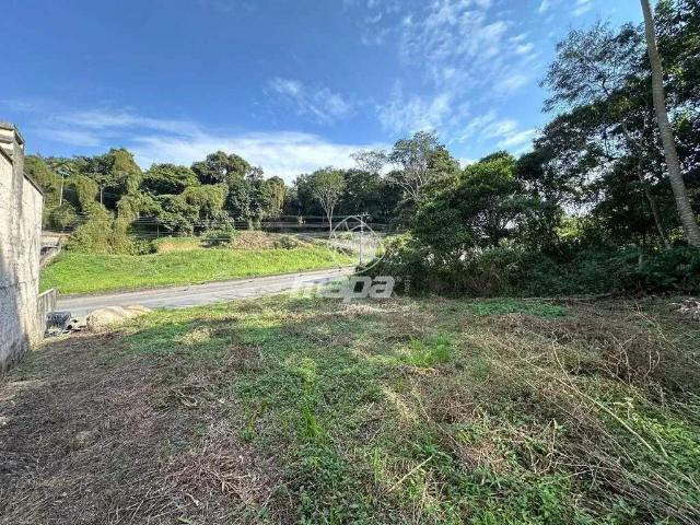 Terreno venda em Região Geográfica Imediata de Blumenau, Timbó