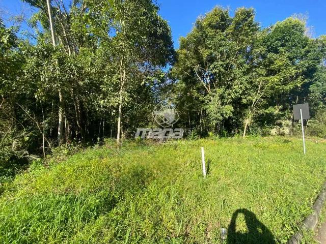 Terreno venda em Região Geográfica Imediata de Blumenau, Timbó