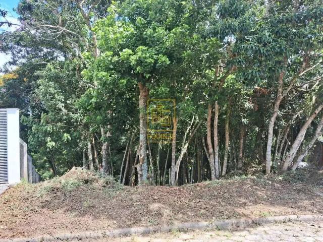 Terreno venda em Região Geográfica Imediata de Blumenau, Timbó