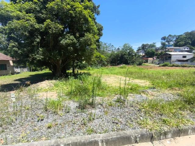 Terreno venda em Região Geográfica Imediata de Blumenau, Timbó
