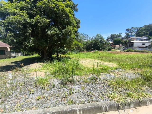 Terreno venda em Tiroleses, Timbó