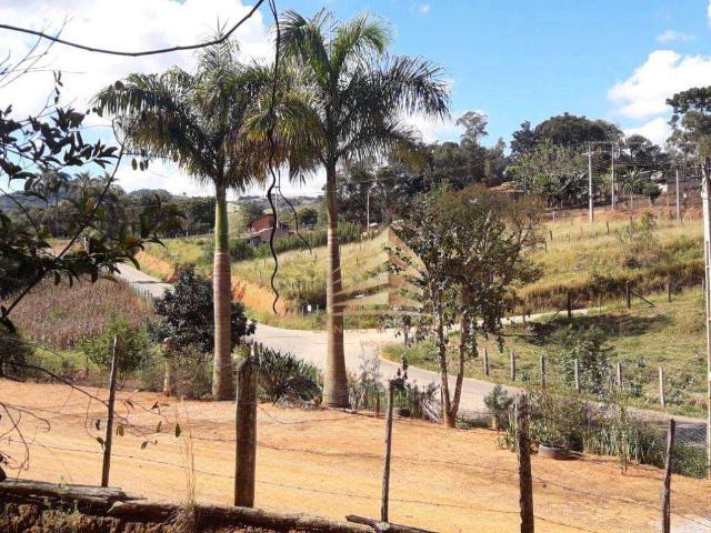 Terreno venda em Jardim Danfer, São Paulo