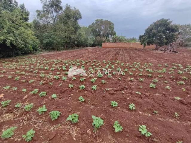 Terreno venda em Região Geográfica Imediata de Toledo, Toledo