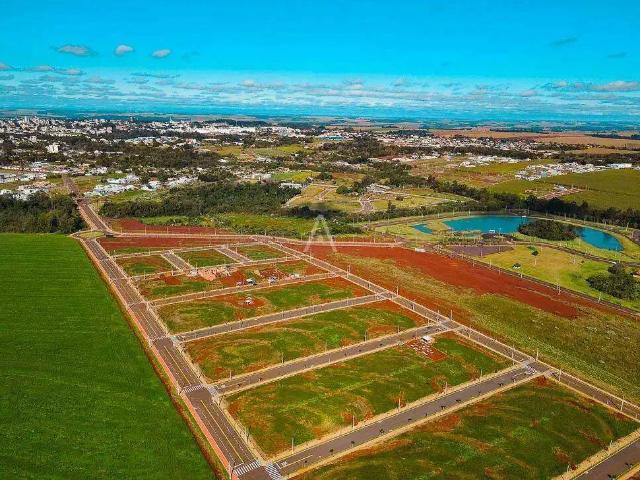 Terreno venda em Região Geográfica Imediata de Toledo, Toledo