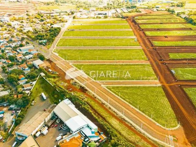 Terreno venda em Região Geográfica Imediata de Toledo, Toledo