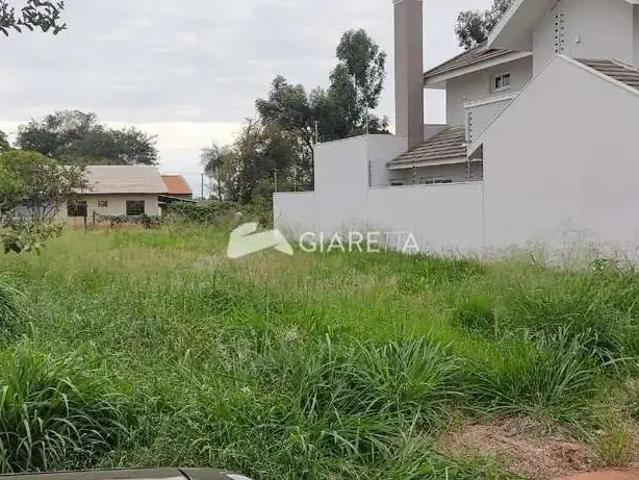 Terreno venda em Região Geográfica Imediata de Toledo, Toledo