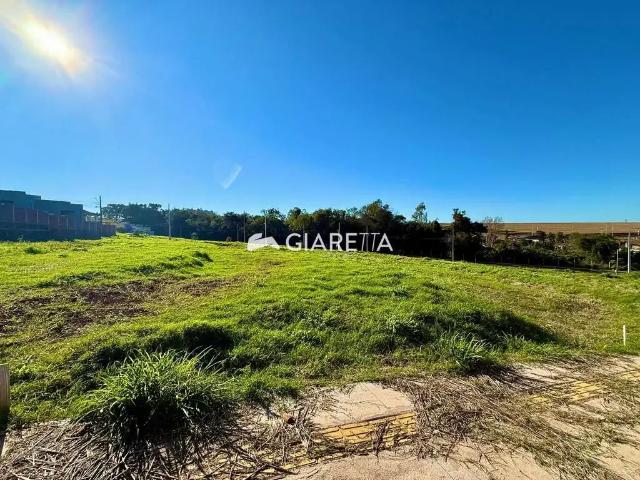 Terreno venda em Região Geográfica Imediata de Toledo, Toledo