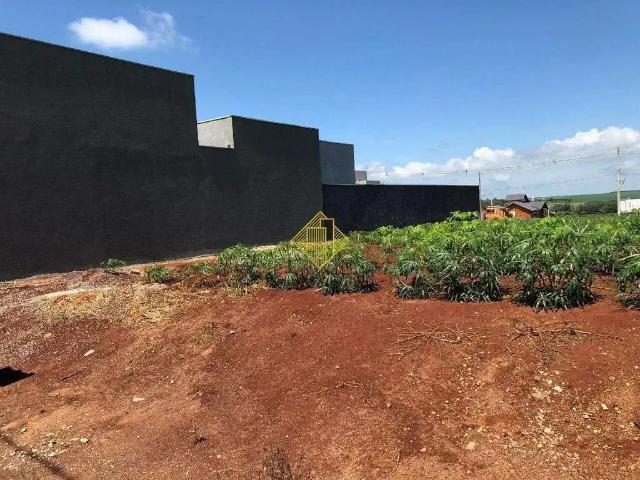 Terreno venda em Região Geográfica Imediata de Toledo, Toledo
