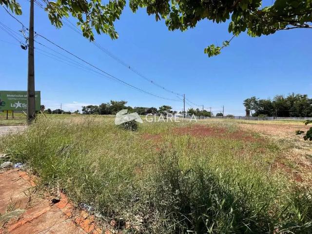 Terreno venda em Região Geográfica Imediata de Toledo, Toledo